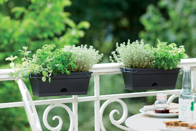 green basics balkonbak mini 30cm living black
